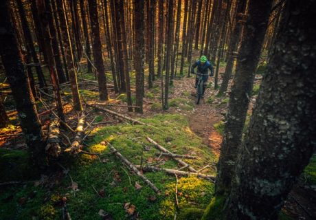 Video TRIAL – OIGS