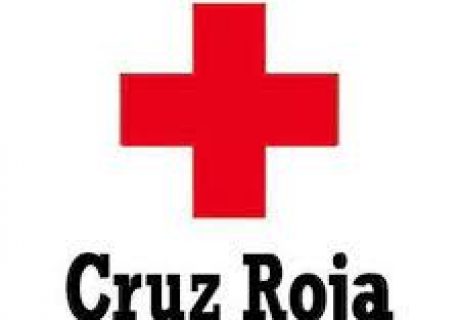 Spanish Red Cross in Castilla y León: Users, Activities and Services for Personal Autonomy Promotion and Dependency Prevention